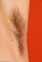 ATK hairy Kitty Set