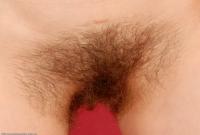 ATK hairy Kitty Set