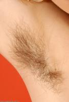 ATK hairy Kitty Set