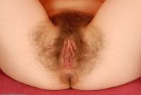 ATK hairy Kitty Set
