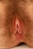 ATK hairy Kitty Set