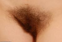 ATK hairy Kitty Set