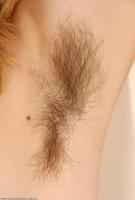 ATK hairy Kitty Set