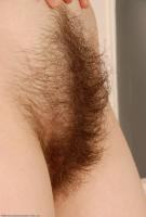 ATK hairy Kitty Set