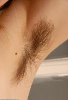 ATK hairy Kitty Set