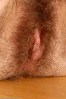ATK hairy Kitty Set