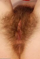 ATK hairy Kitty in hairy fun