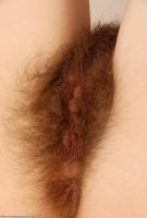 ATK hairy Kitty Set