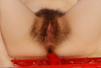 ATK hairy Kitty Set