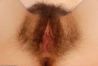 ATK hairy Kitty Set
