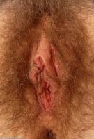 ATK hairy Kitty Set