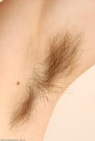 ATK hairy Kitty Set