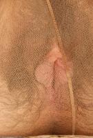 ATK hairy Kitty in scary hairy