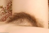 ATK hairy Kitty Set