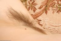 ATK hairy Kitty in scary hairy