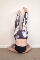 ATK hairy Kitty in young and hairy