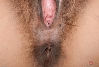 ATK hairy Kitty Catherine Set