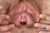 ATK hairy Kitten Coyote in mature and hairy