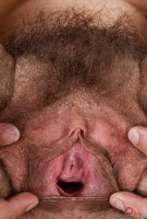 ATK hairy Kitten Coyote in mature and hairy