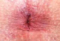 ATK hairy Kitty Strange Set