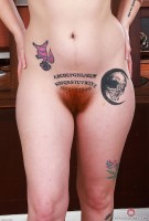 ATK hairy Kitty Strange Set