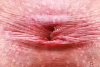 ATK hairy Kitty Strange Set