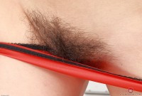 ATK hairy Kiwi Set