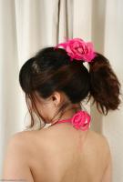 ATK hairy  in exotic and hairy