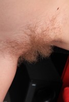 ATK hairy Kris Set