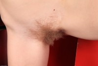 ATK hairy Kris Set