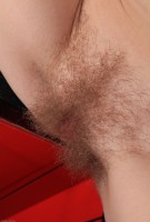 ATK hairy Kris Set