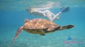 ATK Aunt Judys  in Virtual vacation