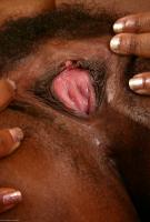 ATK hairy Kylie in exotic and hairy