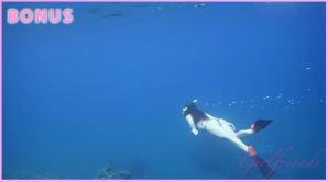 ATK Aunt Judys  in Virtual vacation