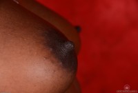 ATK hairy  in exotic and hairy