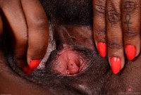 ATK hairy  in exotic and hairy