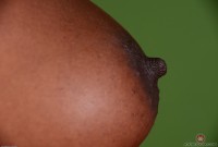 ATK hairy Osa in exotic and hairy