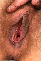 ATK hairy Larse Set