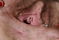 ATK hairy Lauren Laurent Set