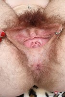 ATK hairy Lauren Laurent Set