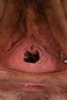 ATK hairy Lauren Laurent Set