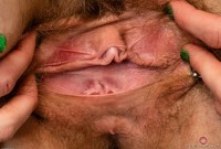 ATK hairy  in scary hairy