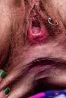 ATK hairy Lauren Laurent Set