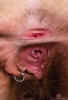 ATK hairy Lauren Laurent Set