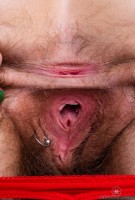 ATK hairy  in scary hairy