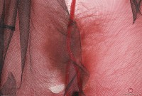 ATK hairy Lauren Laurent Set