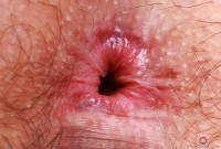 ATK hairy Lenna in young and hairy