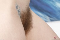 ATK hairy Leona Set