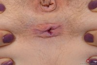 ATK hairy Lily LaBeau Set