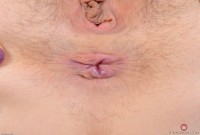 ATK hairy Lily LaBeau Set